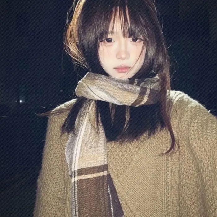 爱犬情深