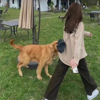 机器人战争：人类末日